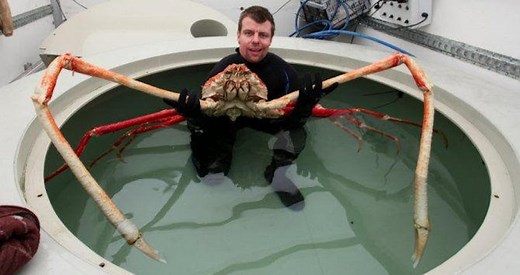 How The 'Dead Man's Crab' Got A Bad Reputation As A Sailor-Killing Monster