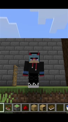 Don't Login Minecraft server Without