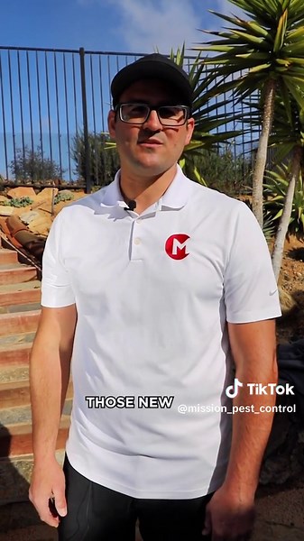 Why we do seasonal treatments ☀️🌱🍂❄️#pestcontrol #fyp