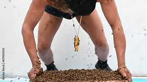 Experienced beekeeper handling large bee colony with bare hands, demonstrating expertise and bravery