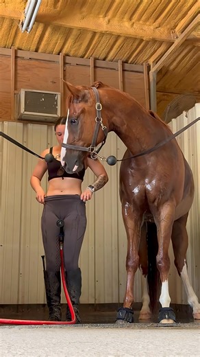 26K views · 91 reactions | Programme Quinté 23-10-2025 Auteuil ✌️✌️ #programme #Quinté #pmu #zeturf #paristurf | Quinte 1 2 3 € | Facebook