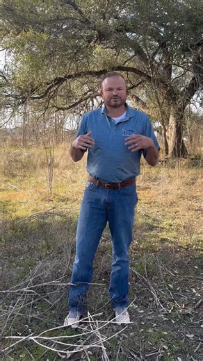 1.6K views · 16 reactions | Big things are happening in Phase 3! ✨ Roads are being paved this December, which means we can start building your dream home as early as January. These beautiful lots won’t last long — give us a call at 210-596-1140 to get started! | R&D Custom Builders | Facebook