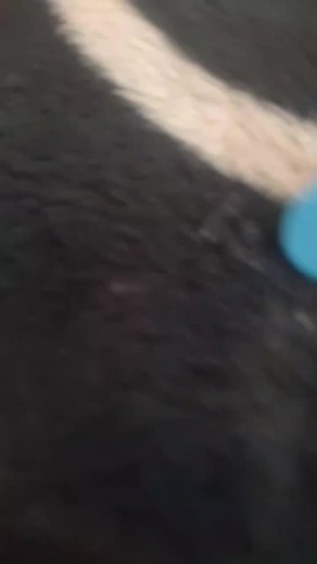 killersnow308 (@killersnow308)’s videos with original sound - killersnow308