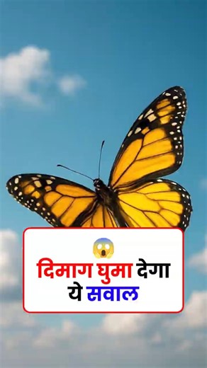 GK ssc || GK Question || GK In Hindi || GK Quiz “क्या आप जानते हैं? 🤔 #Shorts #gk #GeneralKnowledge