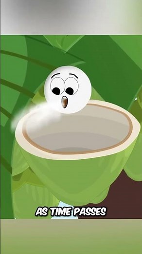 How Does Water Get Inside a Coconut?