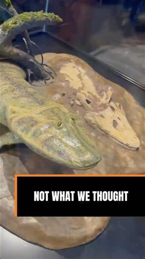 These Discoveries Changed Evolution