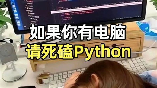 大学生经济独立指南！学python接单赚学费