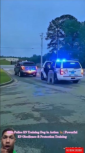 Elite Police K9 Training Dog in Action 🐕‍🦺 | Powerful K9 Obedience & Protection Training #malinois