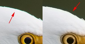 This Photoshop Trick Lets You Easily Fix Color Fringing