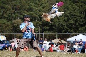 U.S. Disc Dog World Finals Come To Cartersville