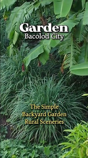 Bacolod City Negros Occidental Philippines Aerial Footage #AerialFootage #AerialView
