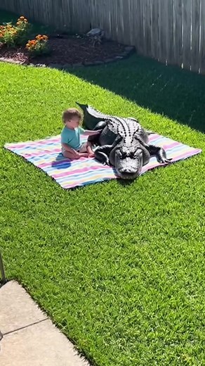 SHOCKING Moment: Baby Has a Picnic... With a GIANT Alligator! | Amazing Show | Facebook