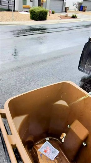 When the gunk gets wild, our curbside bin cleaning steps in. Odor removal, sanitation, and eco-friendly cleaning that brings your bins back from the brink. | Southwest Bin and Pressure Washing | Facebook