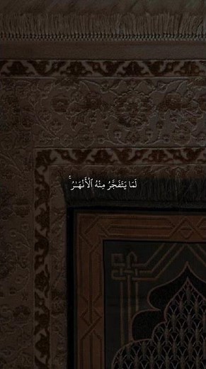 A beautiful and wonderful recitation #quran #explore #holyquran #alafasy #live
