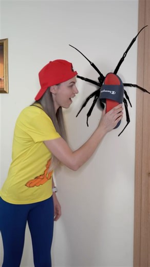 Ohhh My God , Giant spider 🕷️🕷️🕷️in my room