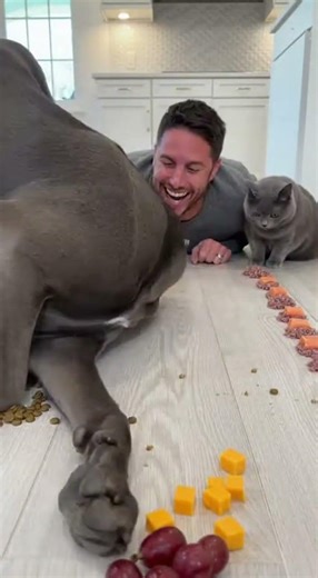 I Challenged My Dog to Eat FAST… You Won’t Believe What Happened! 😱🤣 #shorts #dogs #funny #challenge