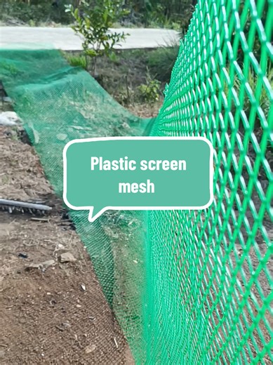 Plastic Screen Mesh for Chicken Farming