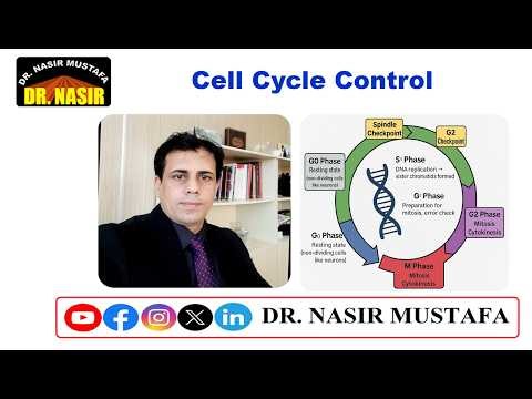 🔬 Cell Cycle Control | Medical Biology 🧬