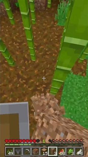 Ghost block glitch in minecraft