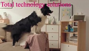 EZVIZ by HIkvision للطلبات و الاستفسارات كلمنا علي: 01013743387 01019183555 0226019429 وكمان تقدروا تتابعونا علي موقعنا الالكترونى : www.totaltechnologyeg.com العنوان:19عمارات الدفاع الوطني بجوار مبني المخابرات حدائق القبة | TOTAL Technology Solution | Facebook