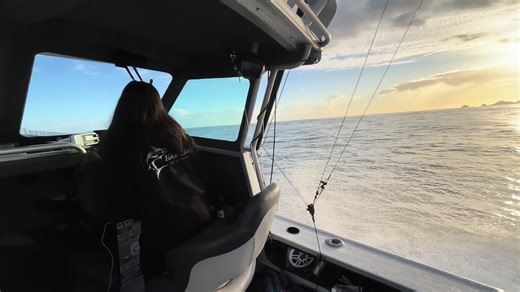 Exciting Offshore Fishing Adventures in New Zealand