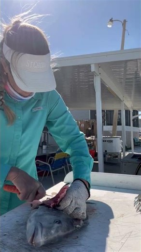 How to Filet a Sheepshead