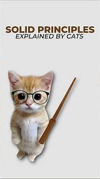 SOLID principles, explained by cats. #cat #coding #programming #solid #software