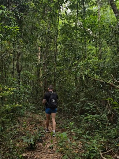 Explore Nature's Serenity: Rest and Recharge Outdoors