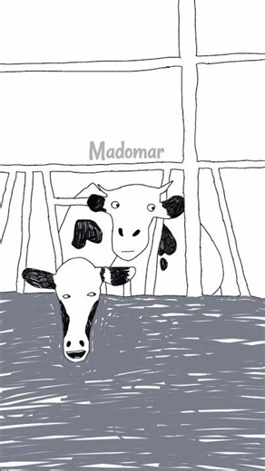 Is Mad Cow Disease Back ? 🤣🤣