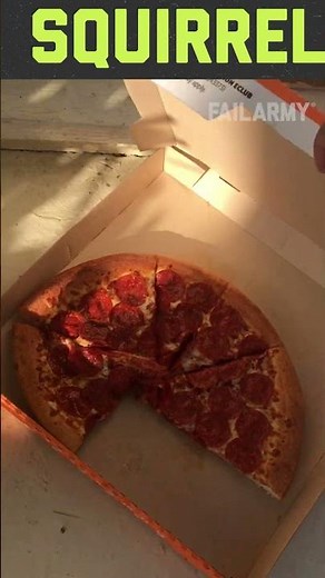 6 Wild Animal Fails!