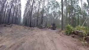 6.9K views · 115 reactions | The West Mims Fire in Georgia has burned through approximately 152,478 acres and is 65 percent contained. Currently, 31 TFS firefighters from across the state are assisting the suppression efforts. This video, shot by Regional Fire Coordinator Cody Holloway, provides a first-hand look at the fire line. | Texas A&M Forest Service | Facebook