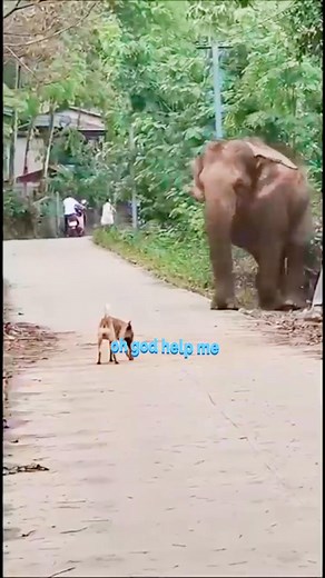 Oh god help me | Gopal Proja