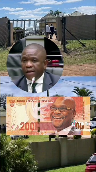 General Nhlanhla Mkhwanazi told the Ad Hoc Committee that the wall that was built around Nathi Mthethwa's house in Mbonambi, KZN, was built from stolen money.
