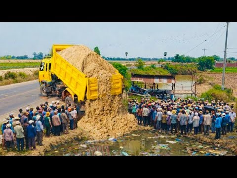 +First Start Perfect New Project!! Complete100% Delete Small Pond By Mini Dozer D31 & Dump Truck 8T
