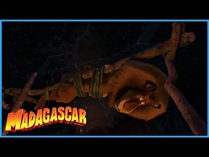 DreamWorks Madagascar | I'm From New York | Madagascar: Escape 2 Africa Movie Clip