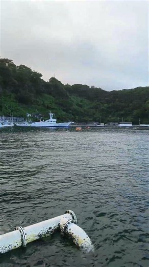 伊豆大島 波浮港での釣りに付き合ってます