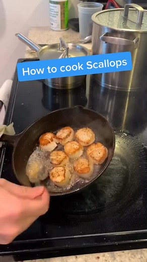 Delicious Pan-Seared Pacific Scallops Tutorial