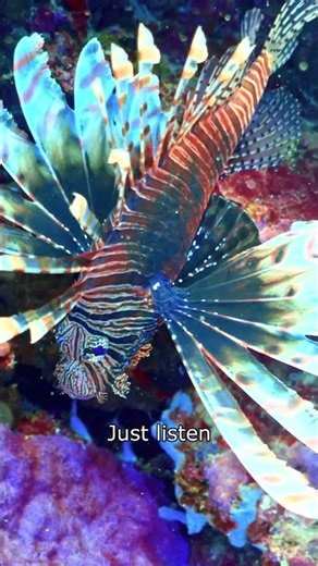 Unreal Ocean Beauty for Your Soul 💙 #shorts