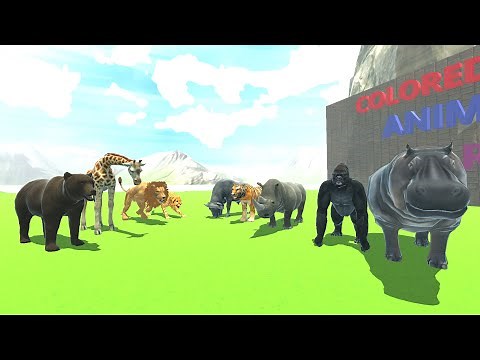 Wild Animals Speed Race | Cheetah, Hippo, Giraffe, Rhino, Gorilla, Lion, Tiger, Bull, Bear
