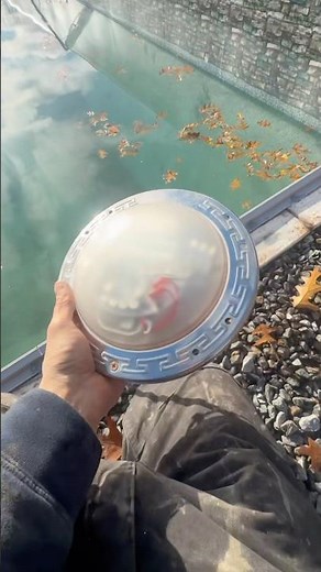 NEW LED POOL LIGHT INSTALLED #swimmingpool #light #shorts