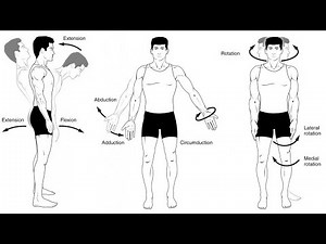 Class~1 introduction of biomechanics basic