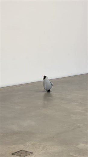 Follow My New Penguin Meme Page Today!