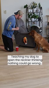 32M views · 344K reactions | Pearl plays a prank on Ruby | Ruby the Labrador | Facebook