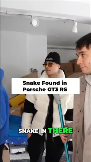 🐍 in the Porsche GT3 RS?