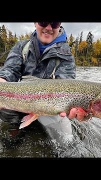 One Minute in Alaska | Fly Fishing Brooks River for Trophy Rainbow Trout