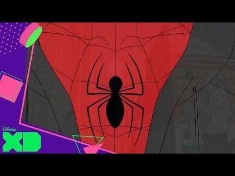 Marvel Spider-Man - Origen 6 | Disney XD