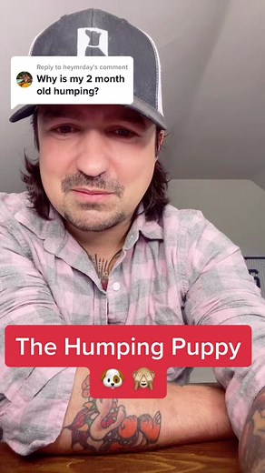 Understanding Puppy Humping Behavior: Training Tips and Advice