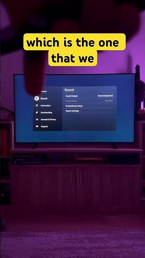How to Set The Sound Output on Samsung TV?