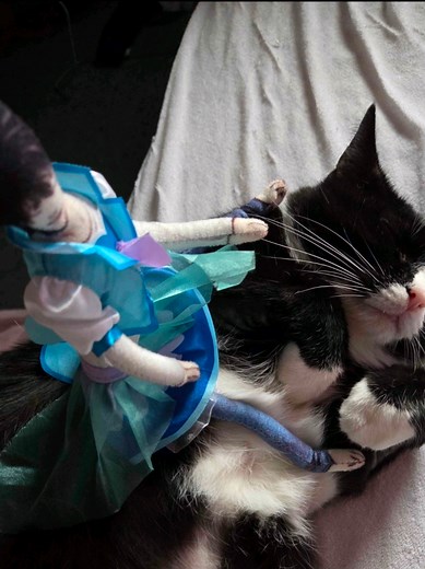 Emotional Moments in Death Note: L's Fate and Fat Cat