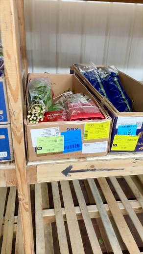 Visiting the best Floral Supply company in New Jersey Sieck-Wright Floral Product Hightstown NJ | Cranery Gardens